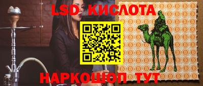 spice Моздок