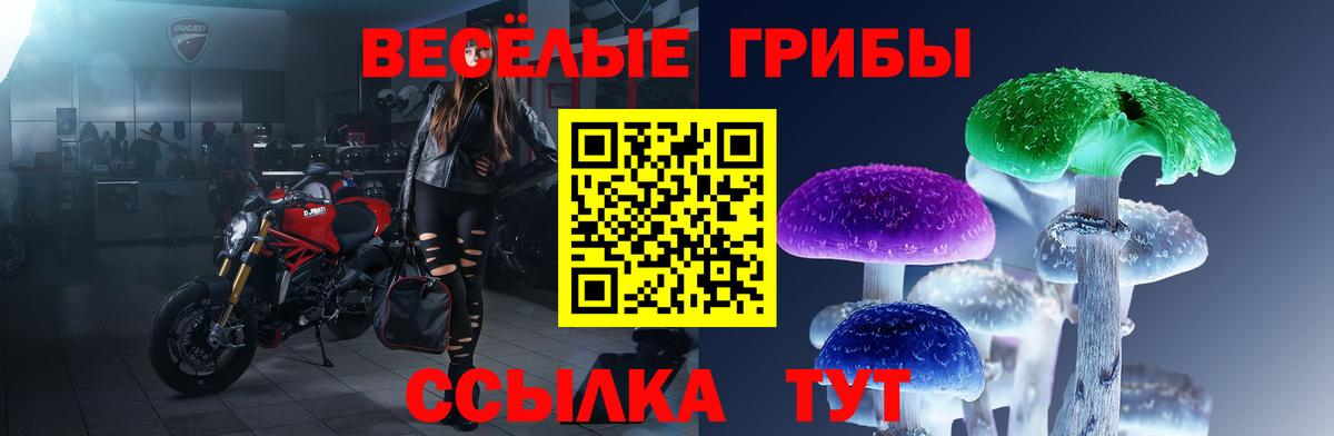 Псилоцибиновые грибы мицелий  хочу наркоту  Вход с VPN  Будённовск  Галлюциногенные грибы Cubensis 